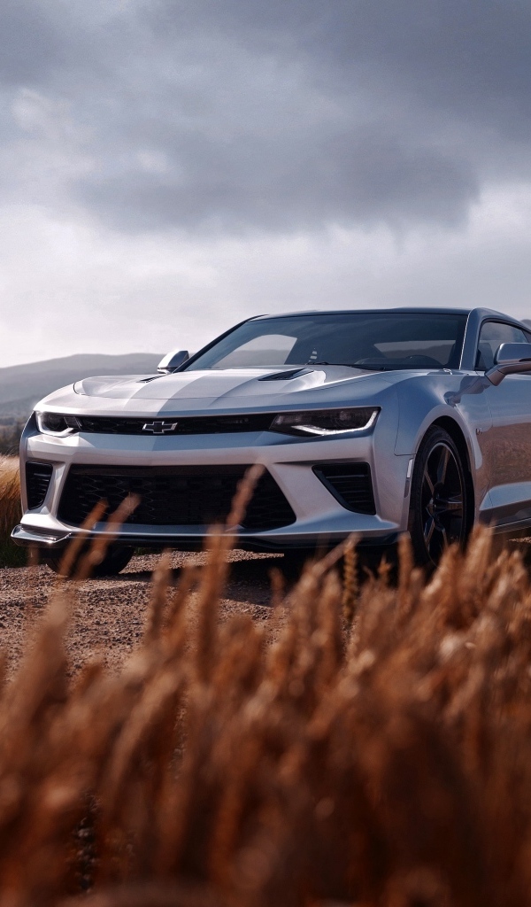 Автомобиль Chevrolet Camaro SS на дороге
