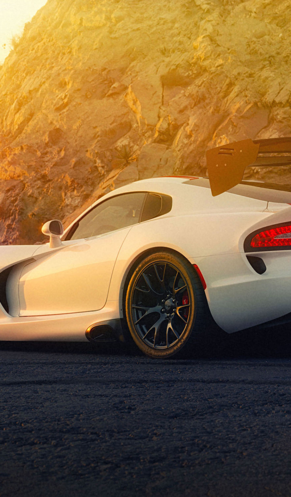 Автомобиль Dodge Viper ACR  вид сзади