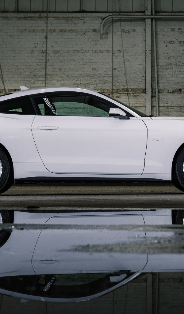 Автомобиль Ford Mustang GT, 2023 года вид сбоку