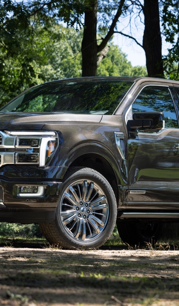 Большой пикап Ford F-150 Platinum 2024 года