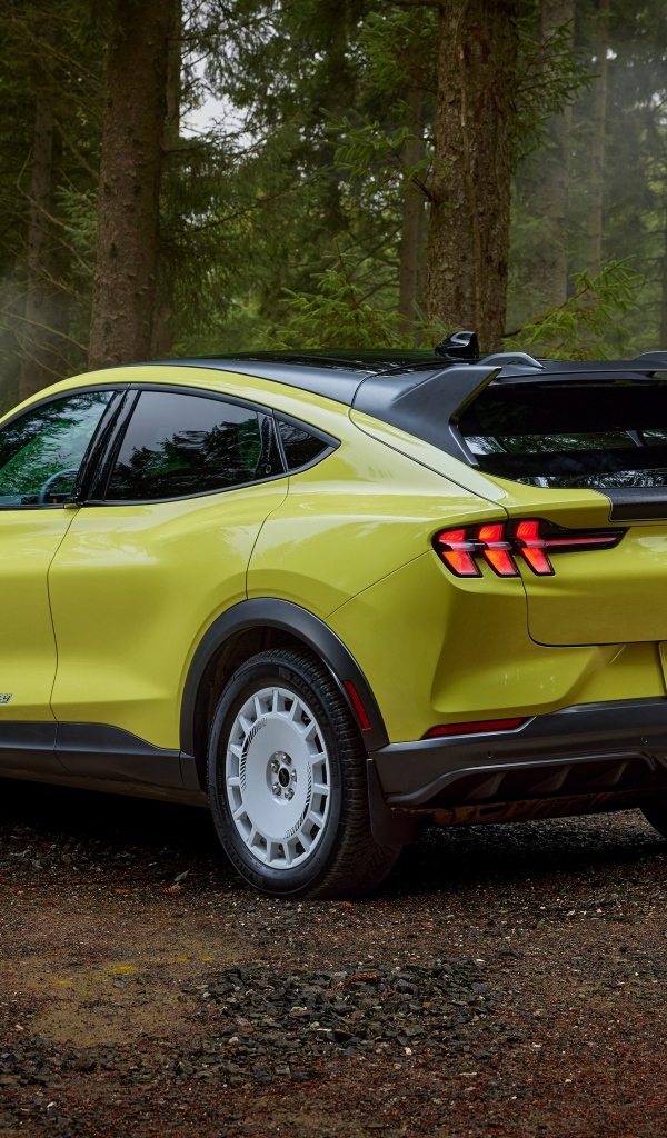 Автомобиль Ford Mustang Mach-E Rally 2024  года вид сзади