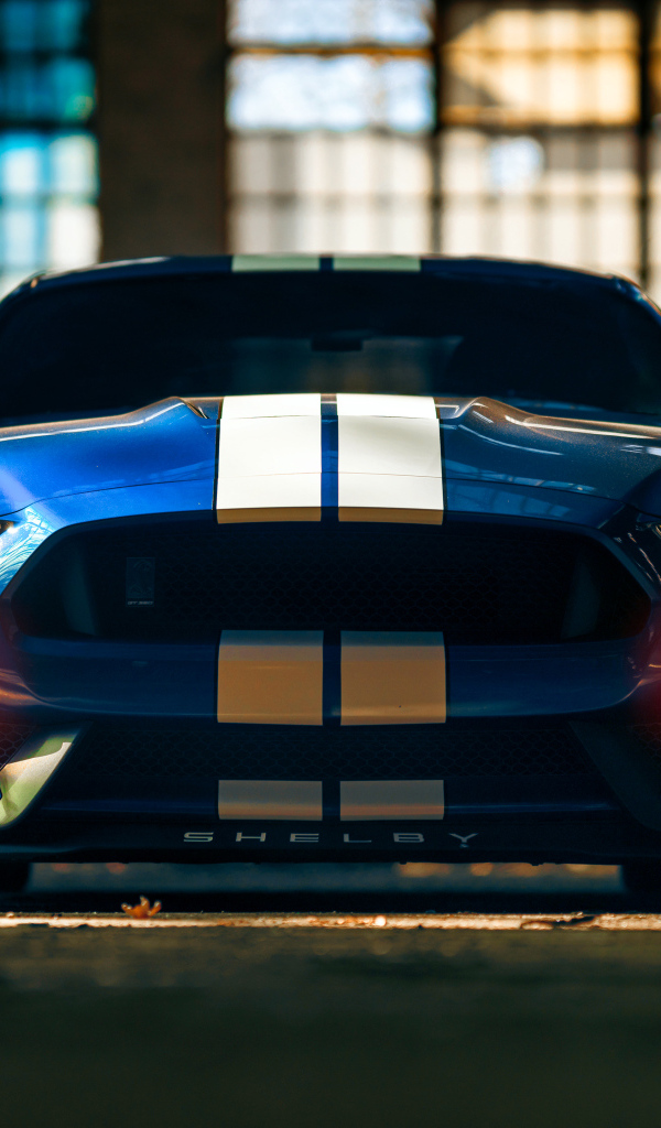 Красивый гоночный автомобиль Ford Mustang Shelby GT350 вид спереди