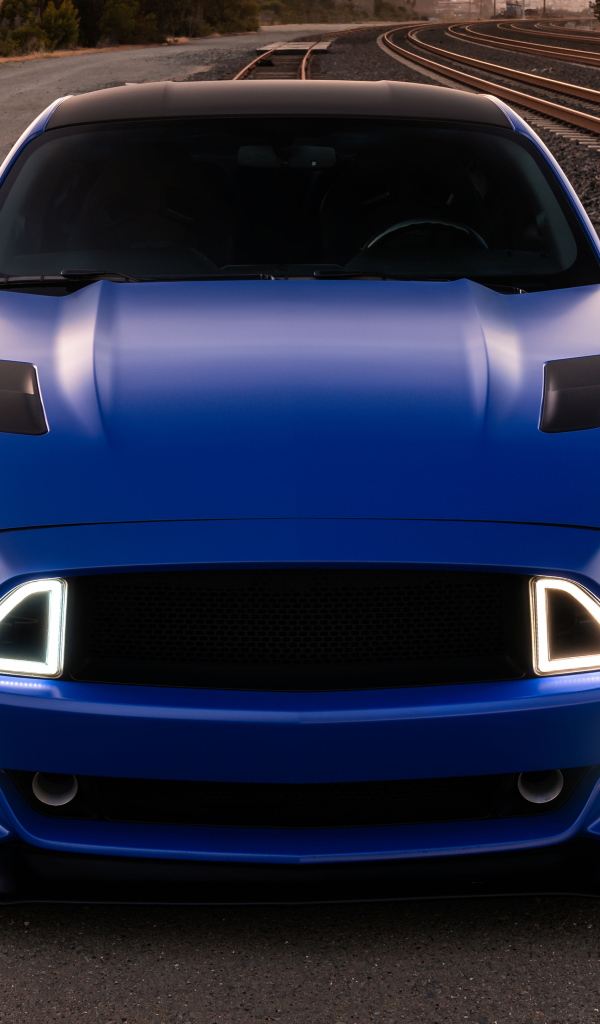 Синий Ford Mustang GT вид спереди