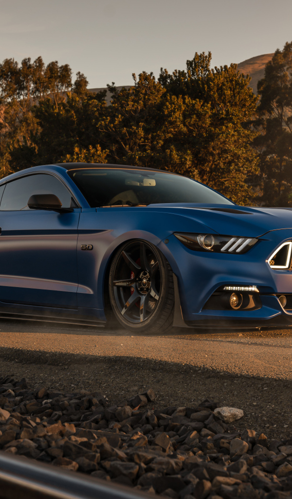 Синий быстрый автомобиль Ford Mustang GT