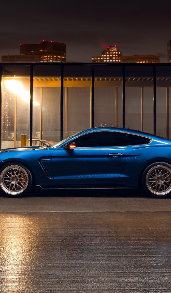 Синий спортивный автомобиль Ford Shelby GT350  на фоне небоскребов