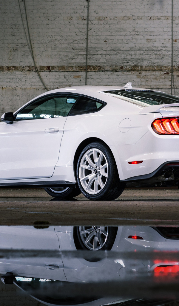 Быстрый Ford Mustang GT, 2022 года вид сзади