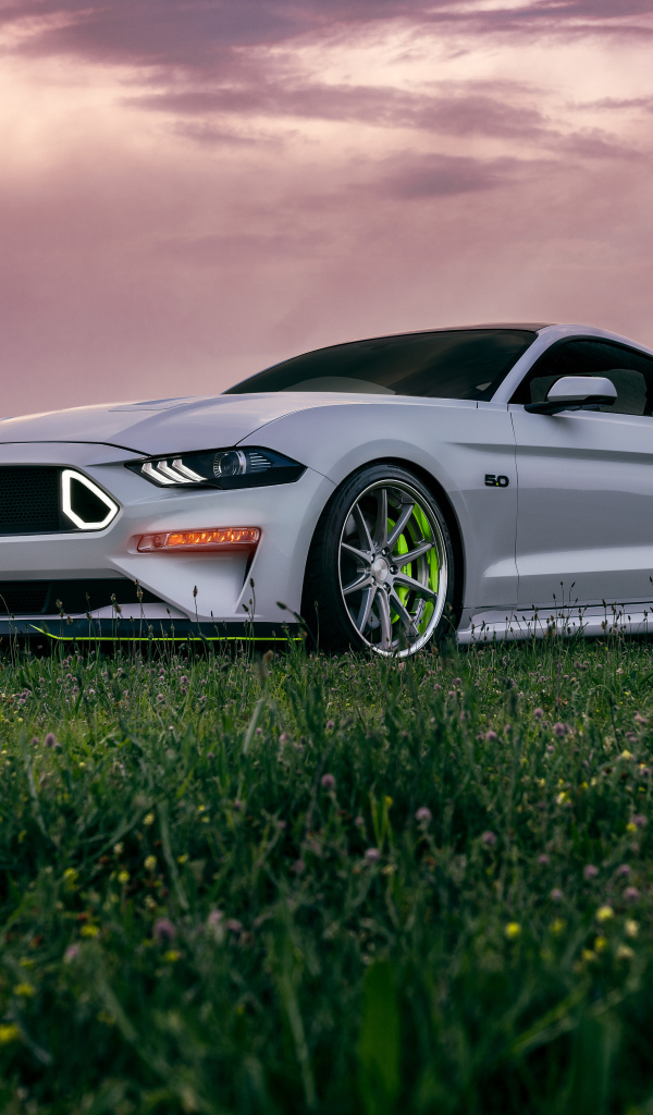 Автомобиль Ford Mustang GT на фоне красивого неба