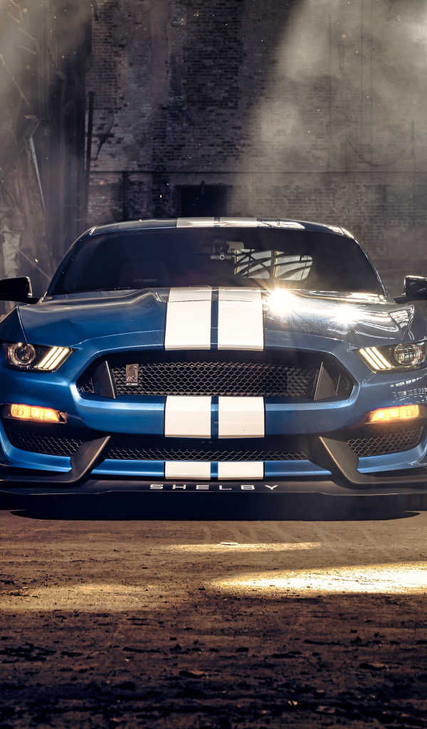 Гоночный автомобиль Ford Mustang Shelby GT350 вид спереди