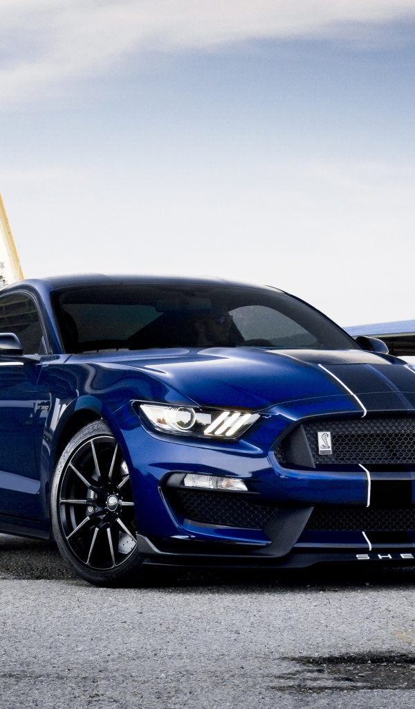 Автомобиль Ford Shelby GT350 у моста