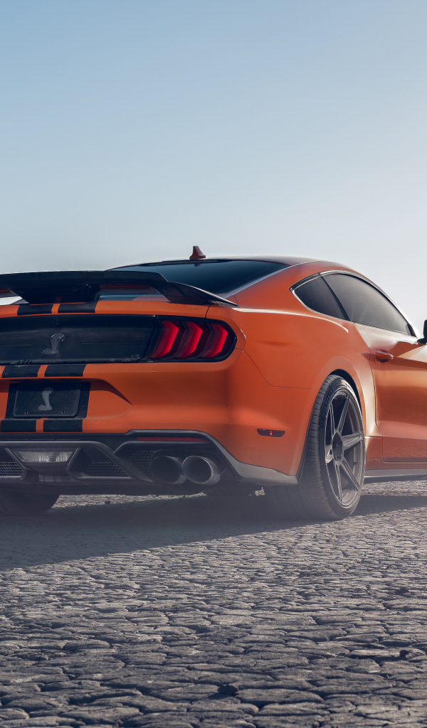 Быстрый Ford Shelby GT500 вид сзади