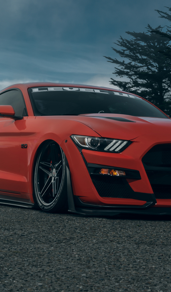 Красный автомобиль Ford Shelby GT500  на дороге