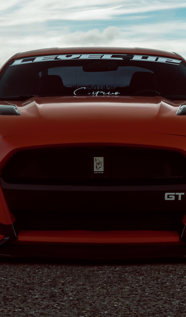 Красный спорткар Ford Shelby GT500 вид спереди