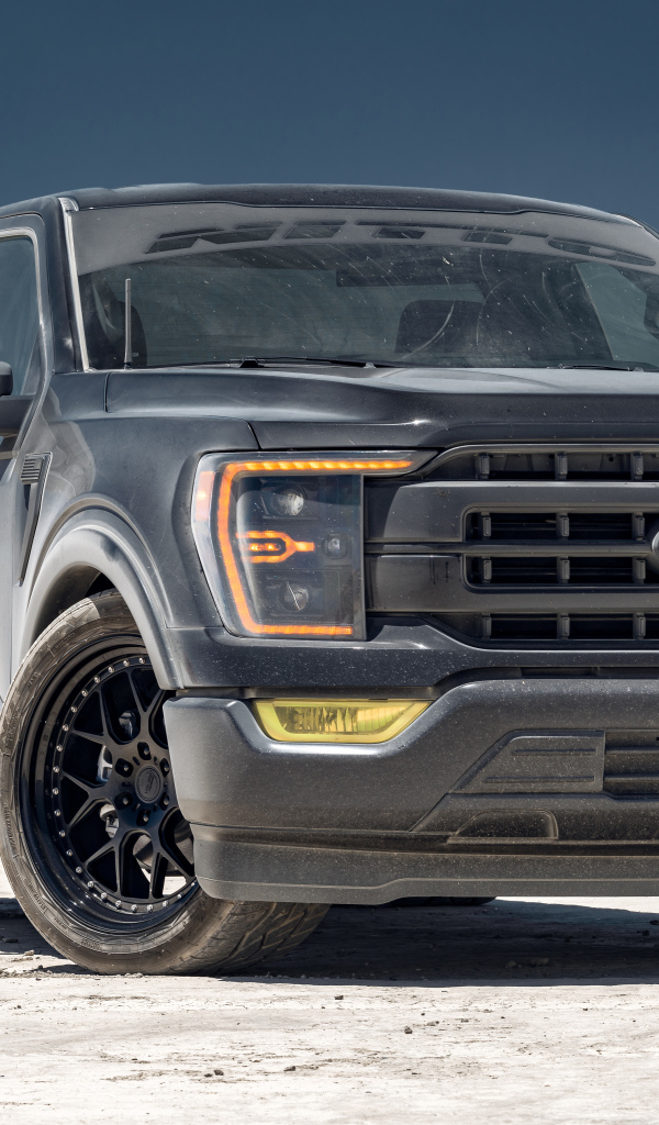 Пикап Ford F150 серебристого цвета