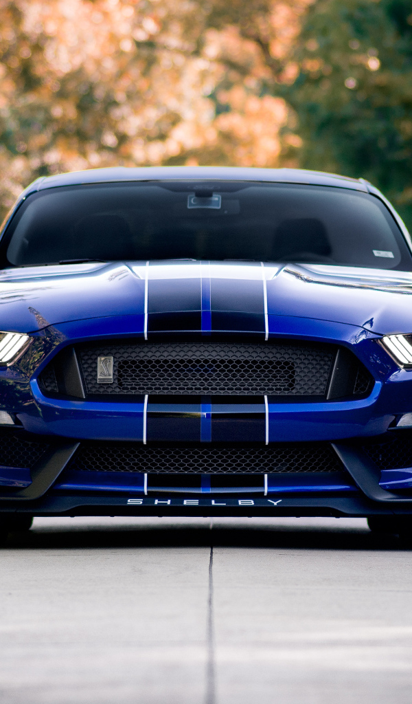 Спортивный автомобиль Ford Shelby GT350 на дороге