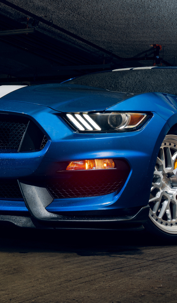 Мокрый синий автомобиль форд мустанг Shelby GT350