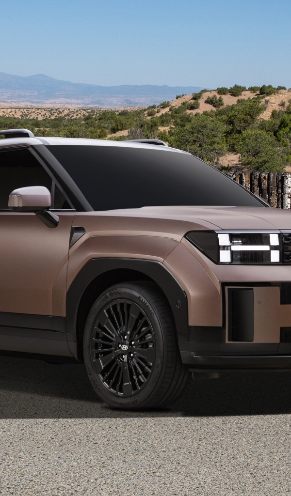 Внедорожник Hyundai Santa Fe Plug-In Hybrid 2023 года