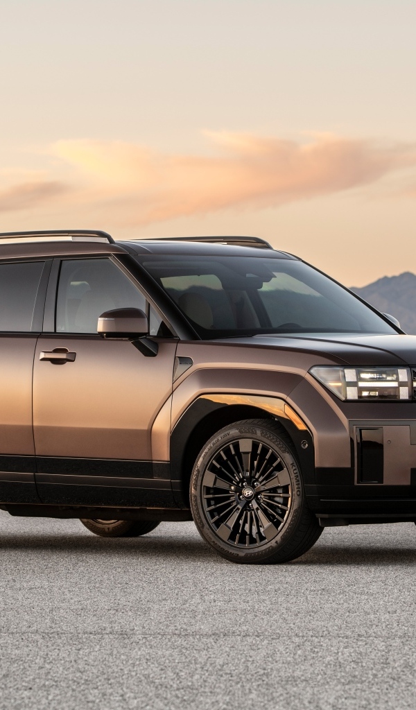 Большой внедорожник Hyundai Santa Fe Calligraphy 2024 года