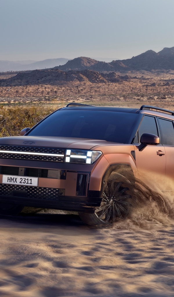 Внедорожник Hyundai Santa Fe 2024 года в пустыне