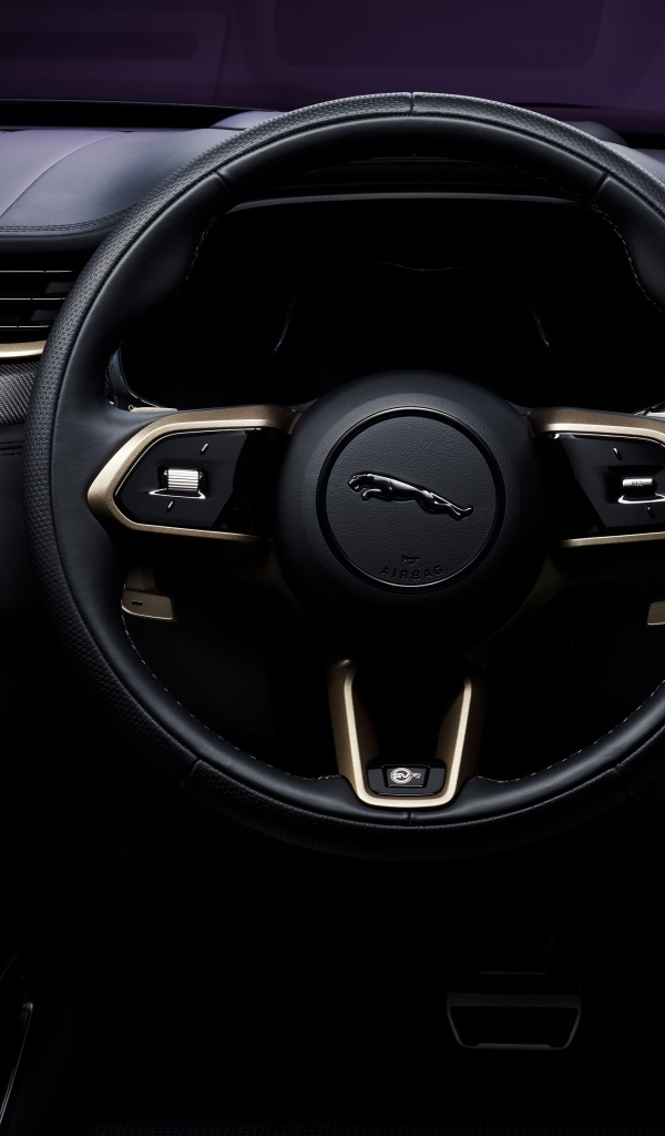 Черный кожаный салон автомобиля Jaguar F-Pace SVR