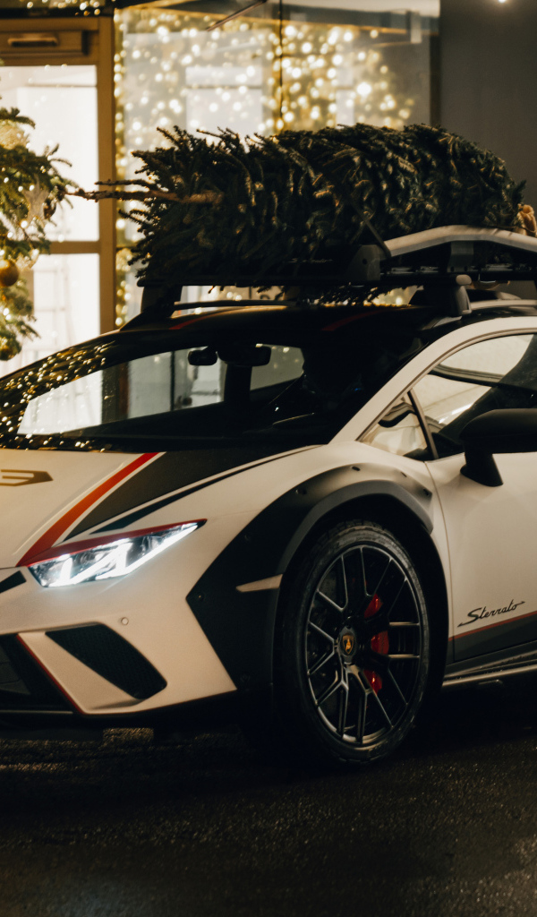 Презентация автомобиля Lamborghini Huracán Tecnica