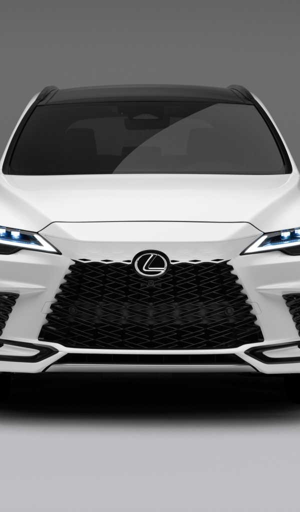 Вид спереди на автомобиль  Lexus RX 500h F SPORT