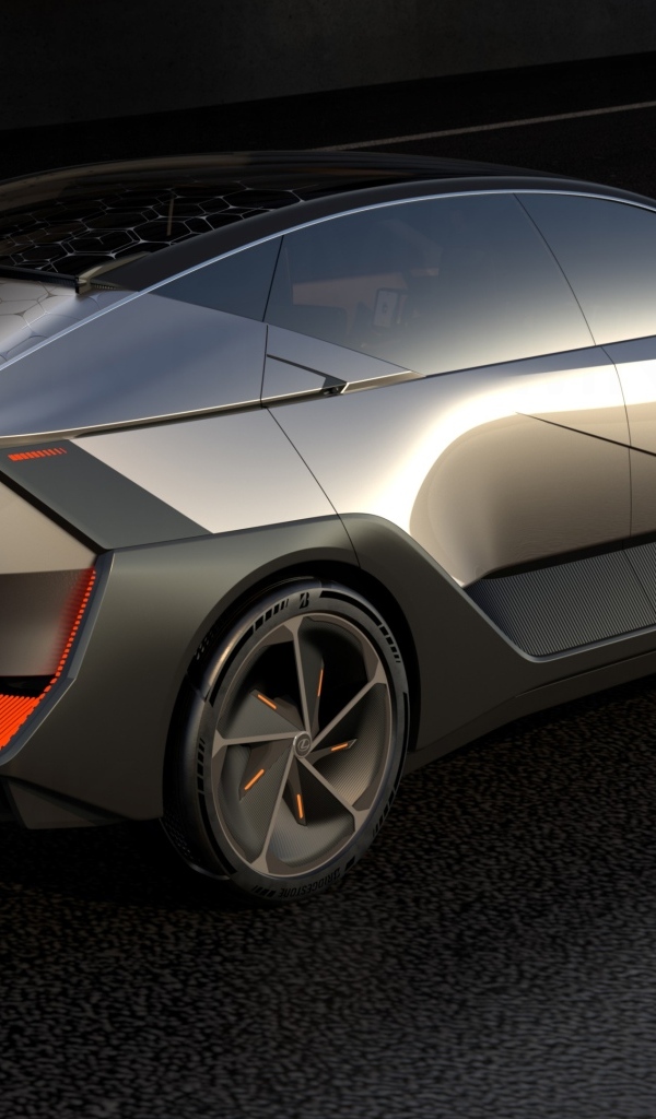 Вид сзади на автомобиль Lexus LF-ZL