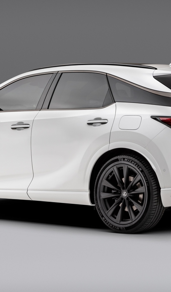 Белый внедорожник Lexus RX 500h F SPORT вид сзади