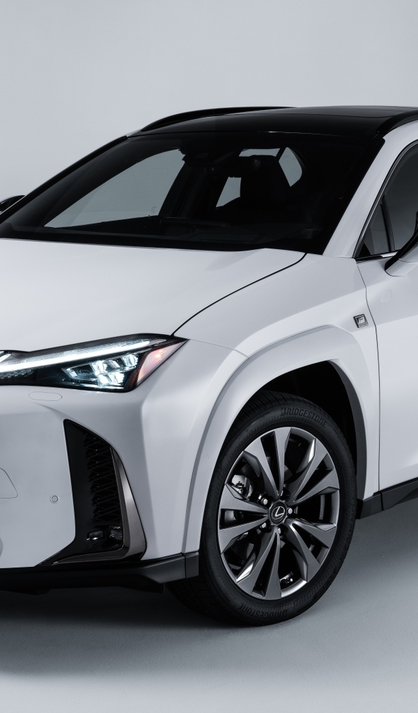Белый автомобиль Lexus UX 250h AWD F SPORT, 2023 года на сером фоне
