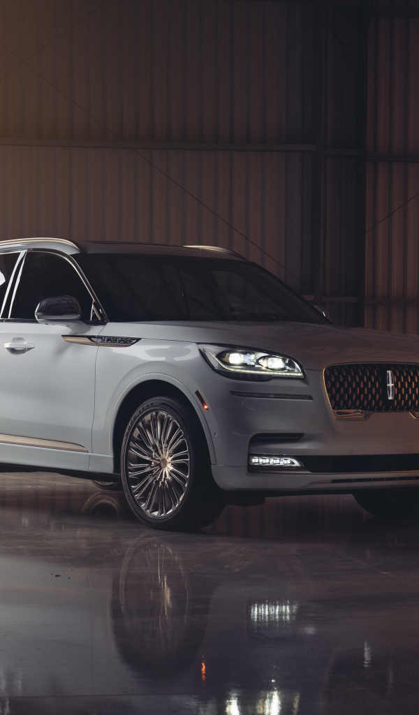 Большой Lincoln Aviator Shinola Concept 2022