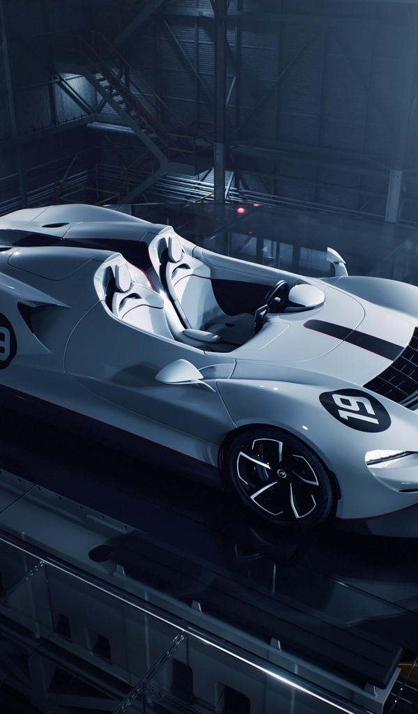 Красивый спортивный автомобиль McLaren Elva