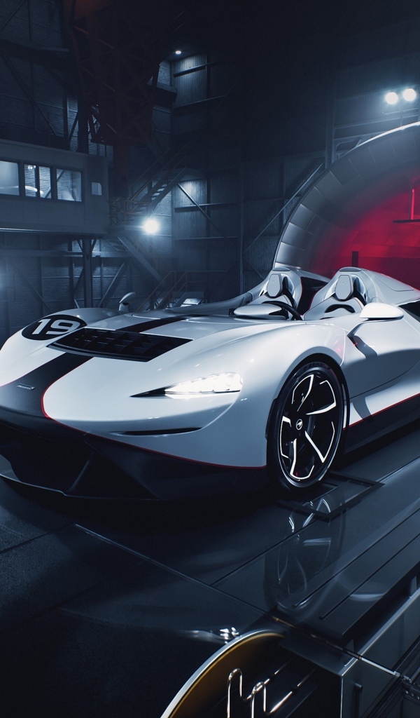 Автомобиль  McLaren Elva