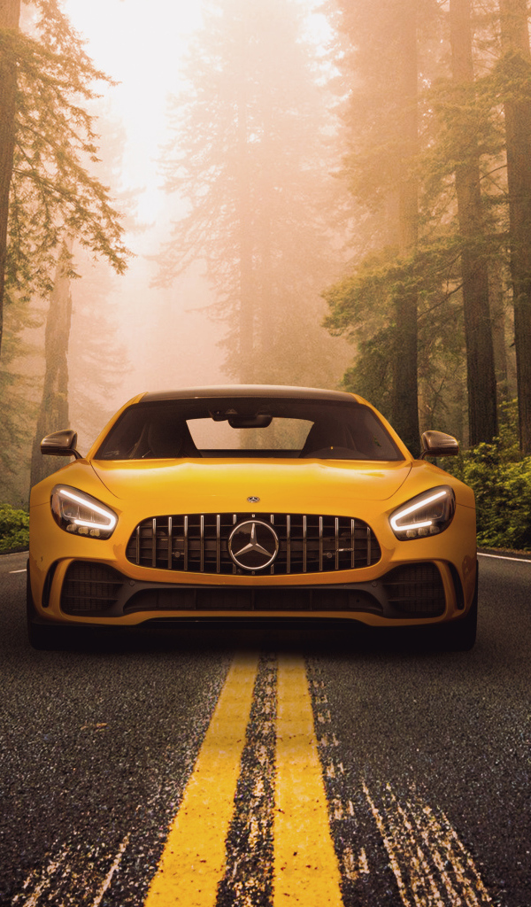 Автомобиль Mercedes-Benz AMG GT R на трассе в лесу