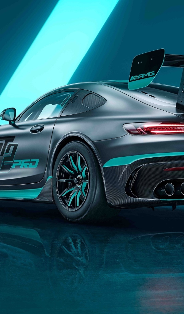 Вид сзади на гоночный автомобиль Mercedes-AMG GT2 PRO 2023 года
