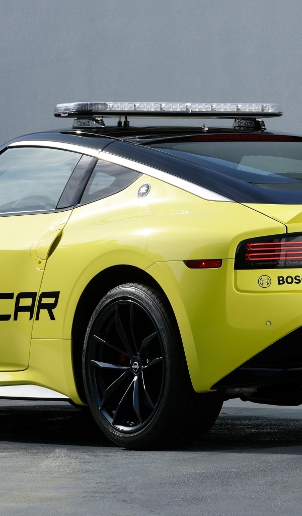 Автомобиль Nissan Z Super GT вид сзади