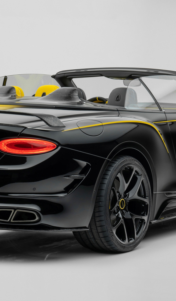 Автомобиль Mansory Vitesse Continental GTC 2022 года вид сзади