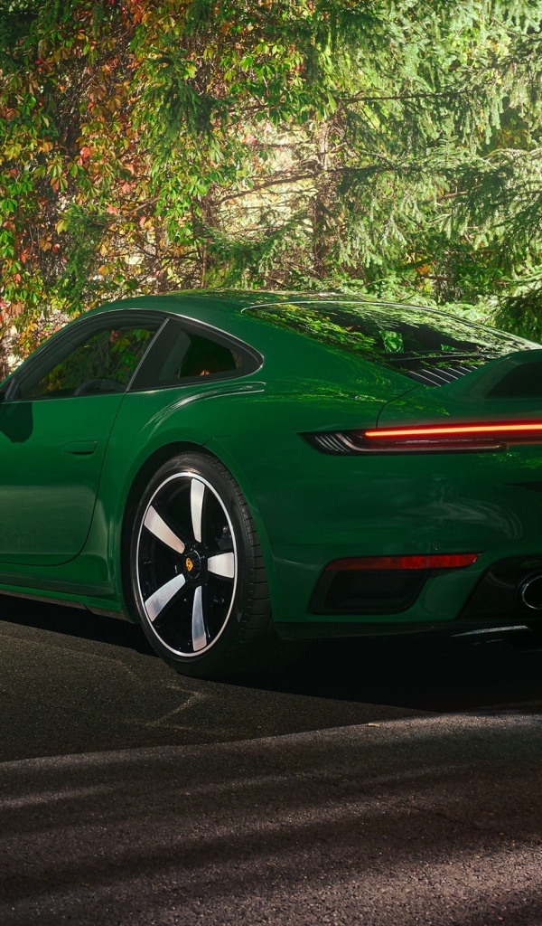 Вид сзади на зеленый автомобиль Porsche 911 Sport Classic 2023 года