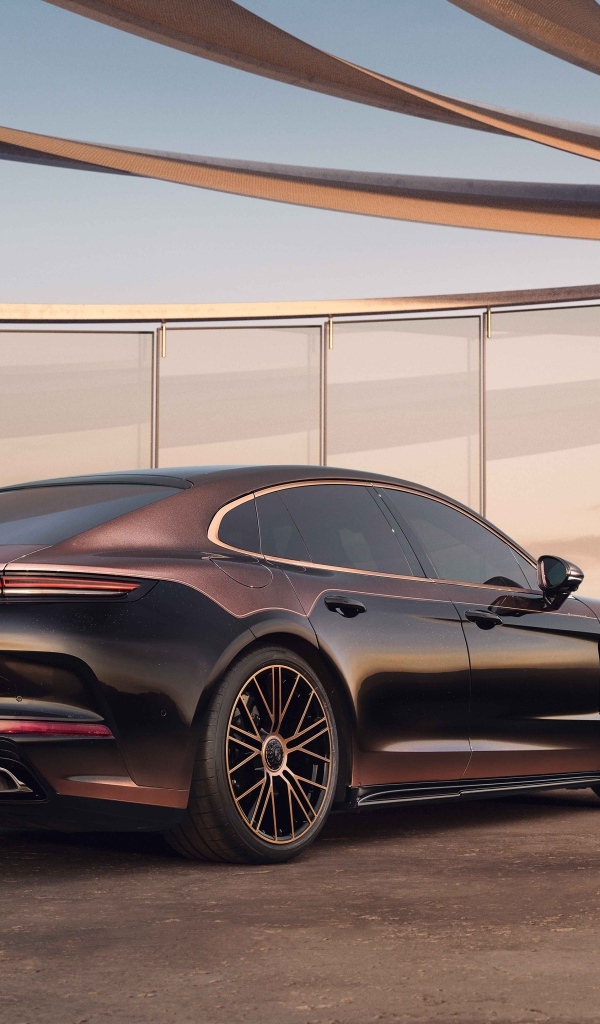 Вид сзади на автомобиль Porsche Panamera Turbo E-Hybrid Sonderwunsch 2024 года