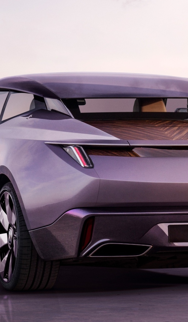 Дорогой Rolls-Royce Amethyst Droptail вид сзади