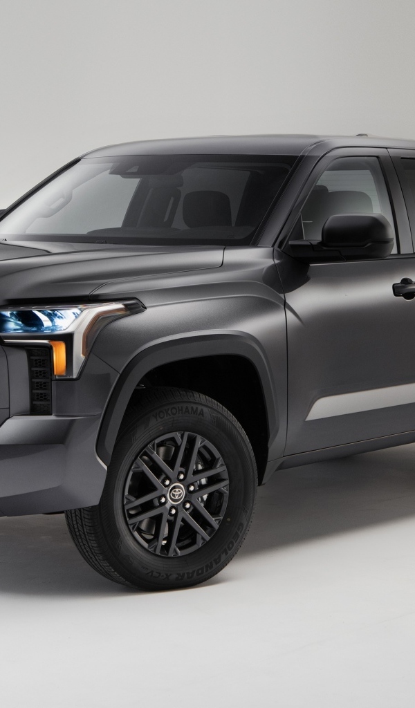 Пикап Toyota Tundra SR5 SX 2023 года