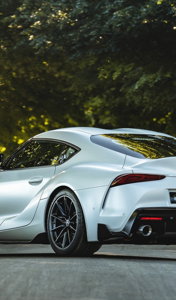 Серебристый автомобиль Toyota GR Supra Pro вид сзади