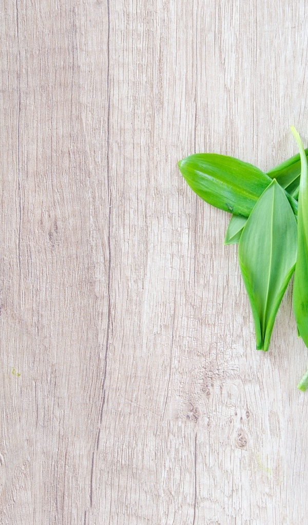 Пучок зеленых листьев на деревянной поверхности 