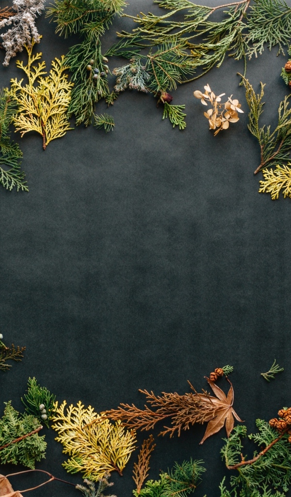 Серый фон с растениями