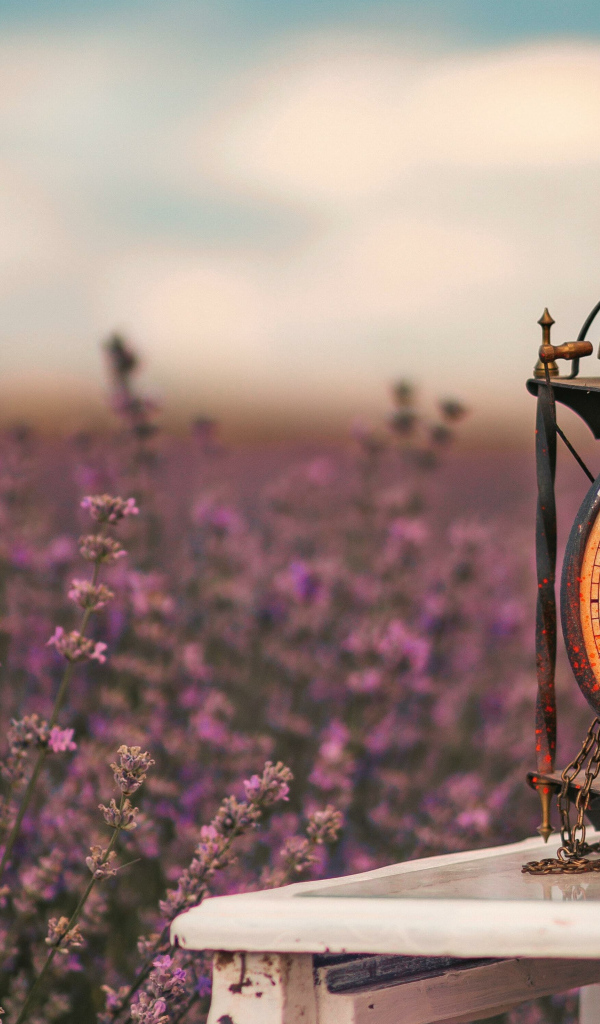 Старинный часы стоят на столе у лавандового поля