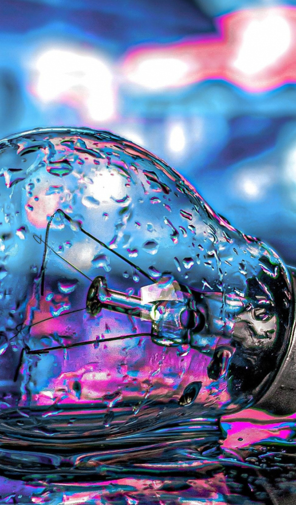 Стеклянная лампочка лежит на мокрой дороге