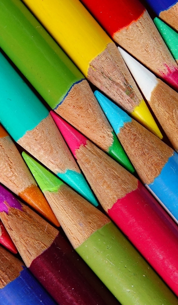 Разноцветные заточенные карандаши