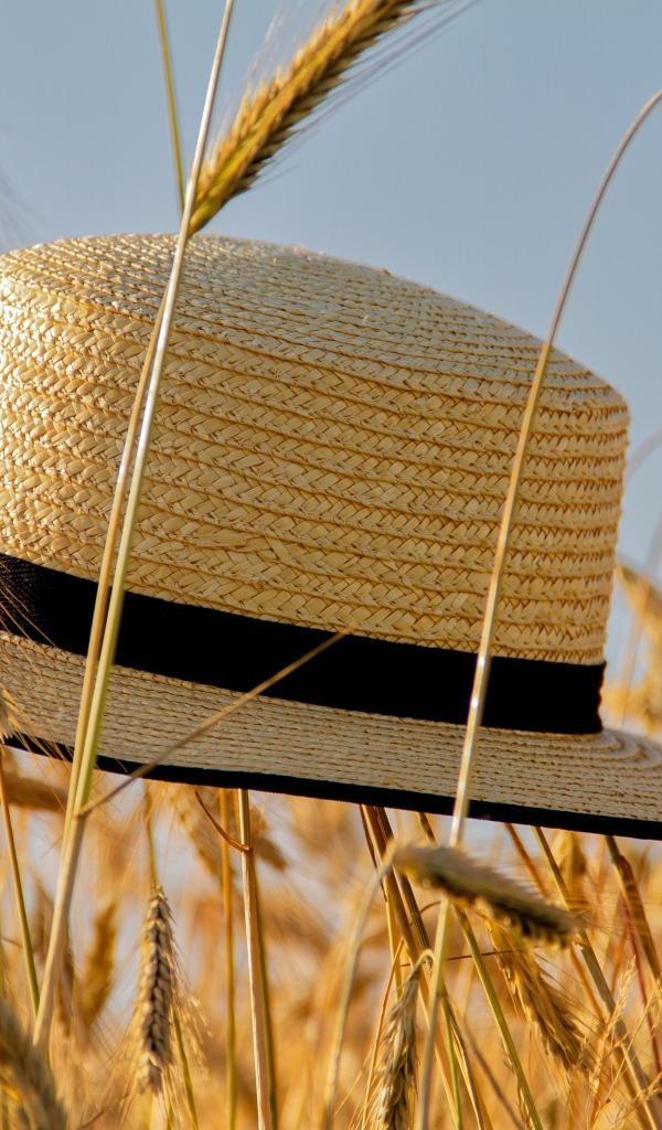 Соломенная шляпа на поле с пшеницей