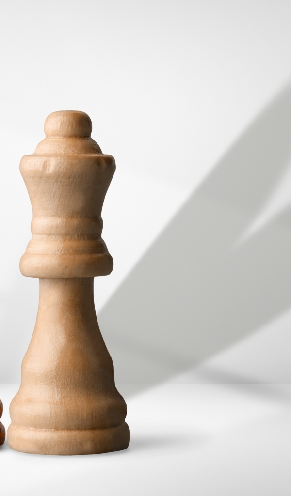 Две деревянные шахматные фигуры на сером фоне
