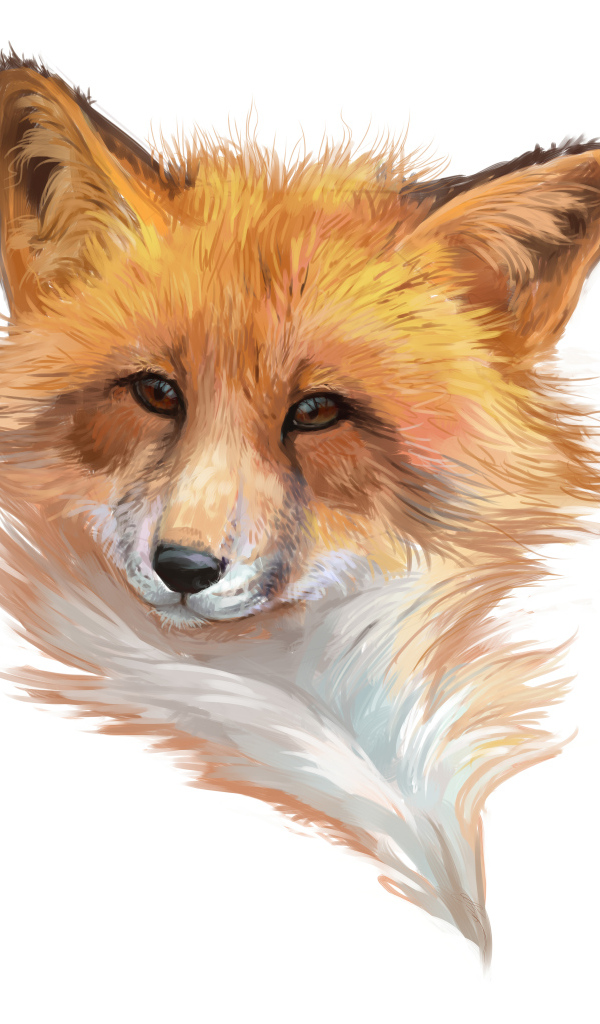 Нарисованная морда лисы на белом фоне