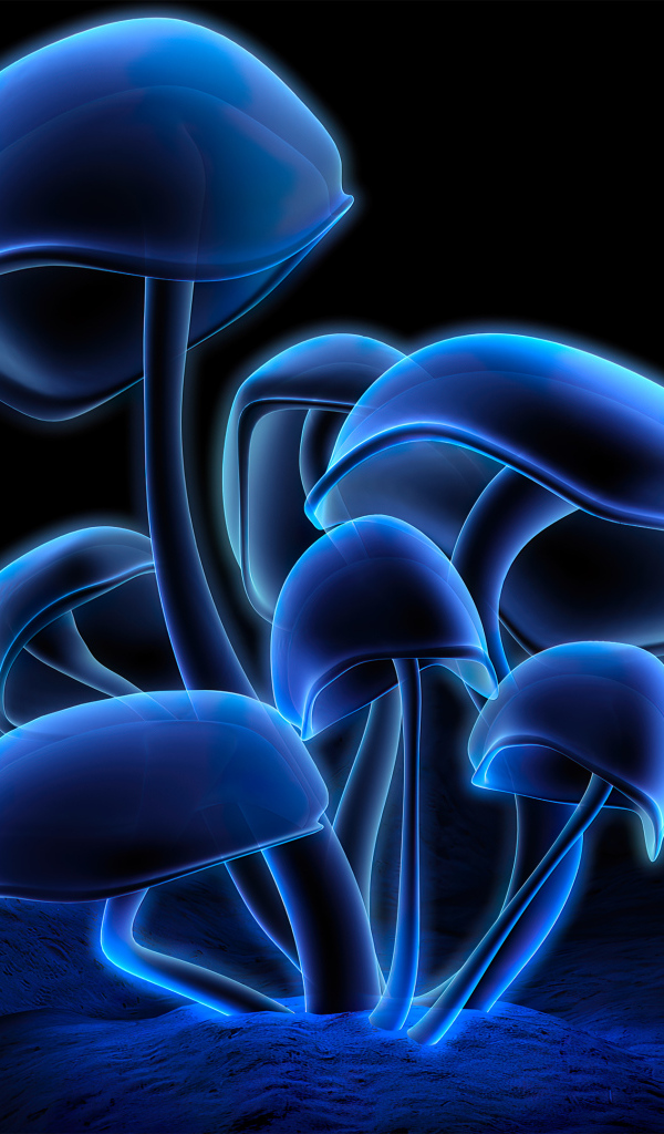 Blue glowing mushrooms on a black background