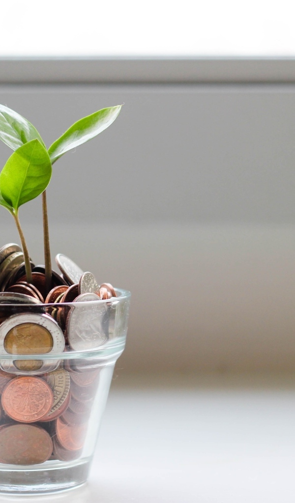 Денежное дерево с монетами в стакане